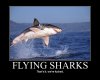 Flying-Sharks-motivational-poster.jpg
