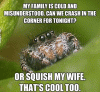 spidermeme.gif