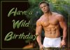 wild-birthday-guy-sb 1.jpg