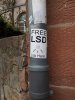 free-LSD-375x500.jpg