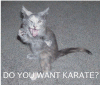 do-you-want-karate.gif