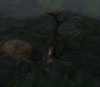 16 point.PNG