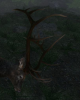 rack.PNG