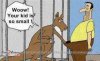funny-kangaroo-joke-cartoon.jpg