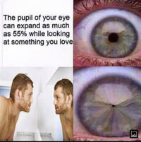 F495A311-99AD-419A-9D2E-CD5A1CB85C0E.jpeg