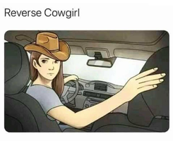 Reverse Cowgirl.png