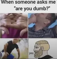 e0518f72efcd6276261d378ccdfd1337.webp
