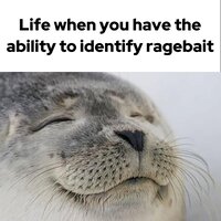IMG_6557.jpeg