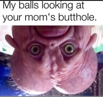 513244537_122247047030229686_1870816199325198797_n.jpg