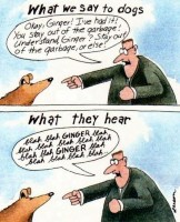gary-larson-far-side-cartoon-what-we-say-to-dogs-blah-blah-ginger.jpg