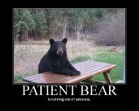 PatientBear-s750x600-179056.jpg