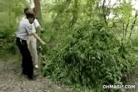 cops-cannabis-burning-fail_zps25e96ab7.gif