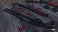 shotgun1.jpg