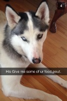 IMG_8614_zps48a9f4b7.png