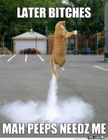 dah-rocket-cat_o_1009540.jpg