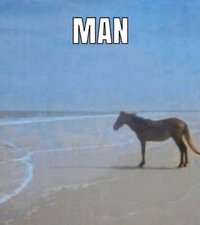 EUiVPglWkAA8YEN.jpeg