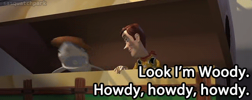howdy howdy howdy.gif