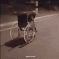 speed-wheelchair.gif