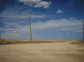 hay-ball.gif