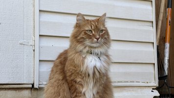 IMG_1347.jpg