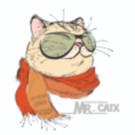 MrCatX