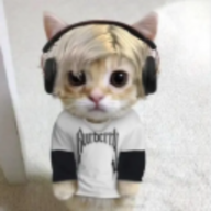 MIBDR