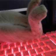 JaneTvvv