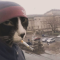 zH-mira