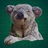 TranquilKoala