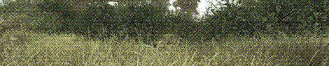 z0pJQp7.gif
