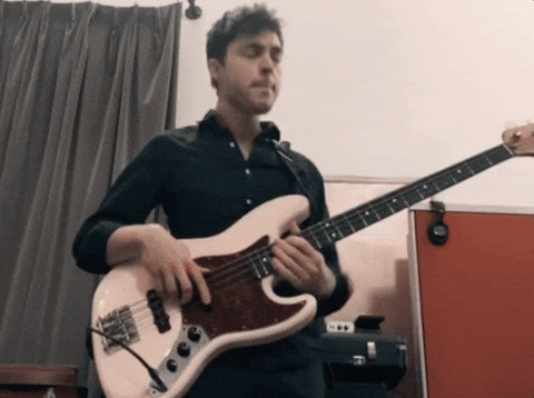 giphy.gif